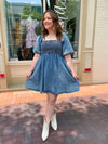 Matilda Denim Dress