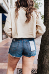 Troublemaker High Rise Short in So Game